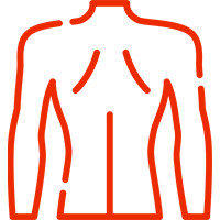 human tissues
